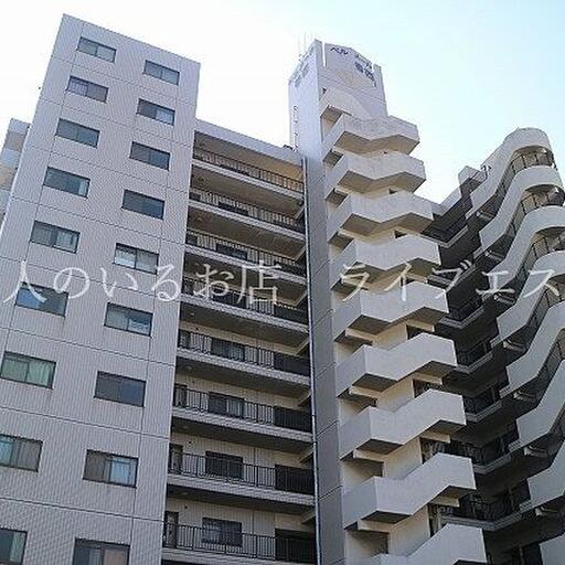 猫ちゃんのみですがペット可です!! ペット飼育の場合+礼金1ヶ月となります