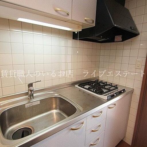 収納スペースも十分あります(同タイプ201号室の参考写真です) 防犯カメラ設置済みで防犯面が気になる方にオススメ