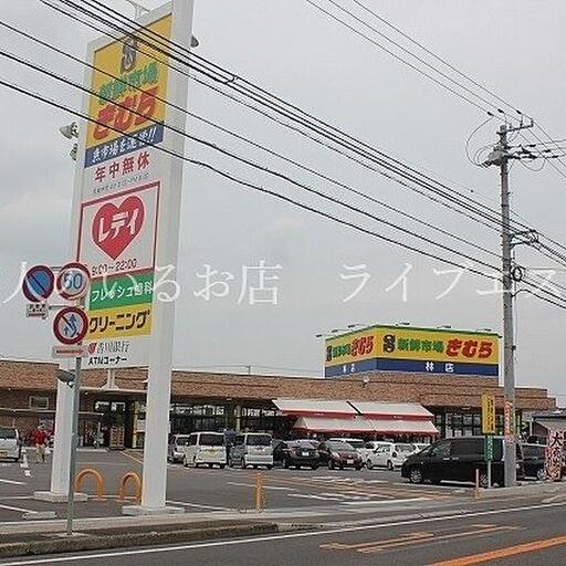 新鮮市場きむら林店 徒歩約5分 / 約360m 同敷地にくすりのレディ林店もあり便利