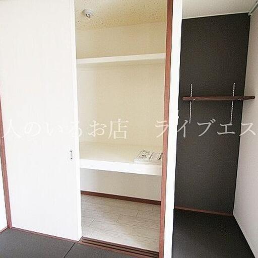 収納 衣装部屋にいいかも