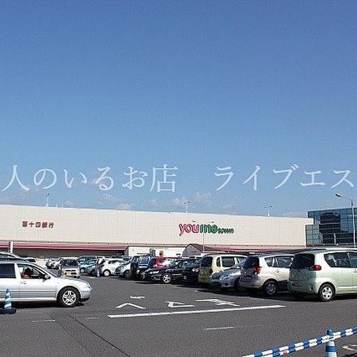 ゆめタウン高松店 徒歩約14分 / 約1080m 生鮮食品から衣類から家電まで何でもそろいますよ